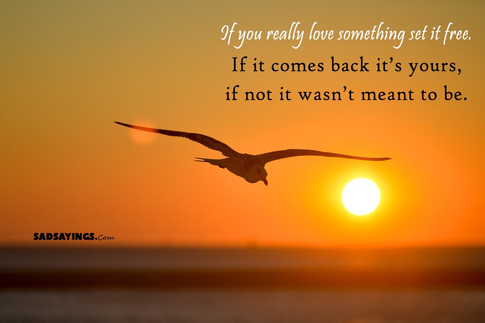 If you really love something set it free. If it comes back it’s yours ...